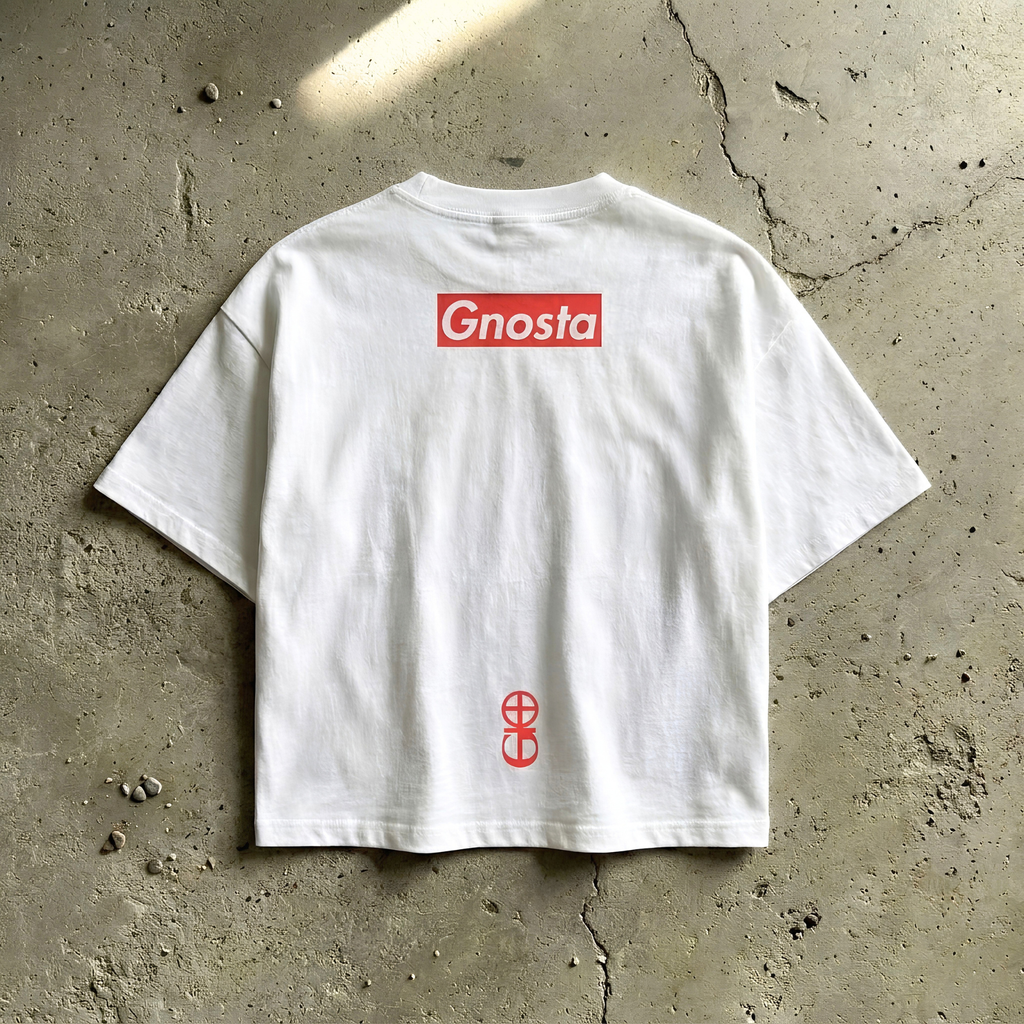 INSPO BEYOND THE VEIL WHITE CROPPED T-SHIRT