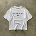 GNOSTA'S "SEEK GNOSIS" CROPPED T-SHIRT